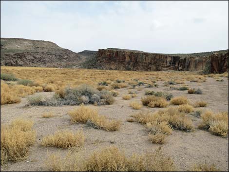 Amphitheater Site