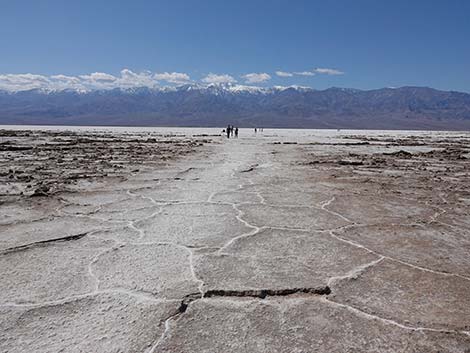 Badwater Salt Flat Trail