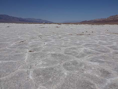 Badwater Salt Flat Trail