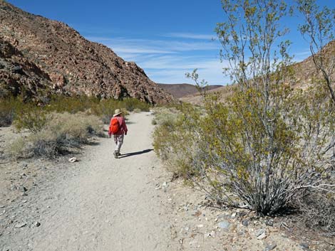 Darwin Falls Trail