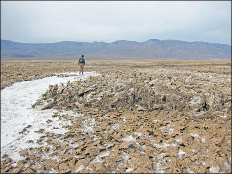 Harmony Salt Flats