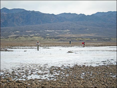 Harmony Salt Flats