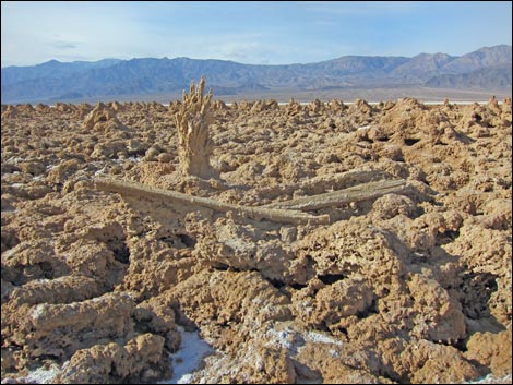 Harmony Salt Flats