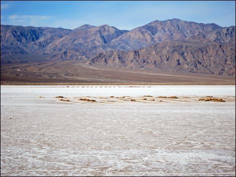 Harmony Salt Flats