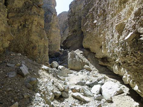 Sidewinder Canyon