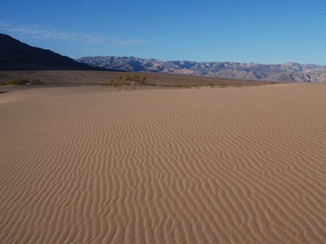 Mesquite Flat Sand Dunes