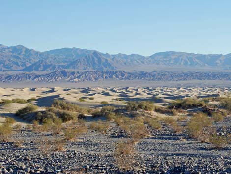 Mesquite Flat Sand Dunes