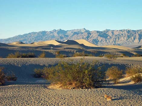 Mesquite Flat Sand Dunes