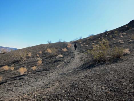 Ubehebe Crater Trail