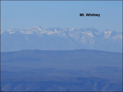 Wildrose Peak