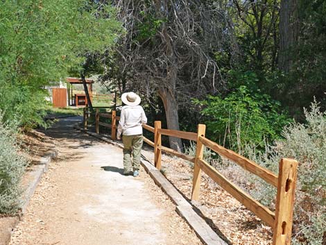 Coyote Trail