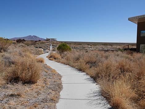 Coyote Trail