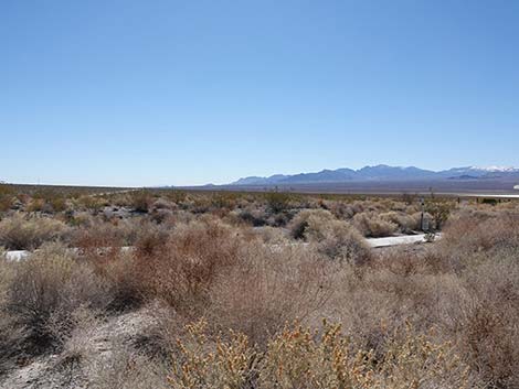 Jackrabbit Loop Trail