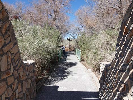 Jackrabbit Loop Trail