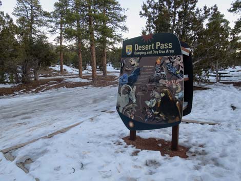 Desert Pass Campground