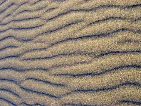 Desert Dry Lake Dunes North