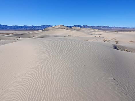 Desert Dry Lake Dunes