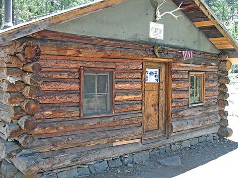 Hidden Forest Cabin