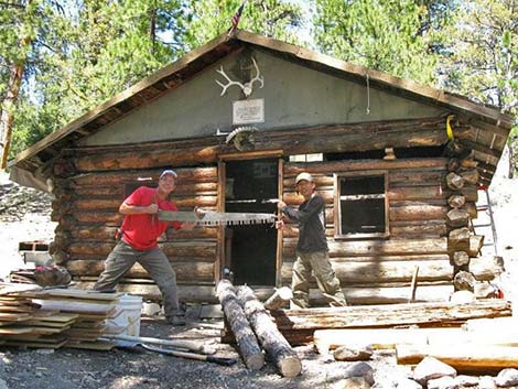 Hidden Forest Cabin