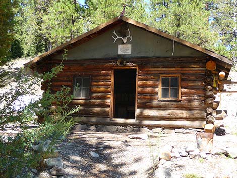 Hidden Forest Cabin