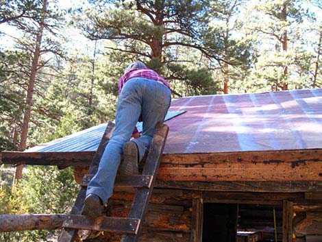 Hidden Forest Cabin