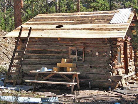 Hidden Forest Cabin