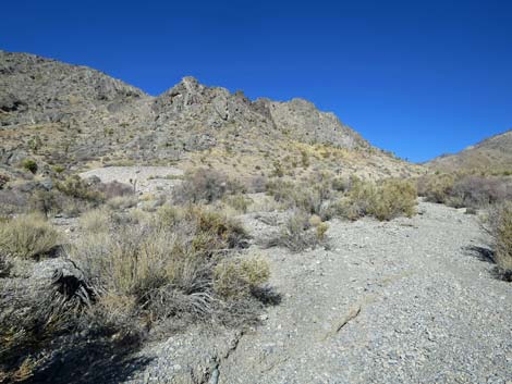 Joe May Canyon Guzzler