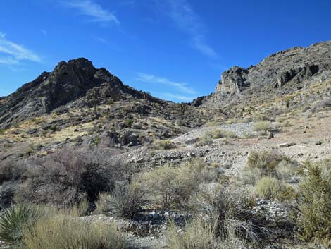 Joe May Canyon Guzzler