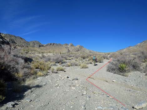 Joe May Canyon Guzzler