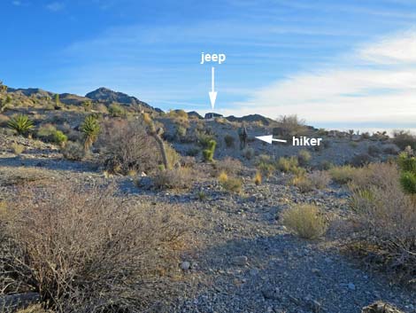 Joe May Canyon Guzzler