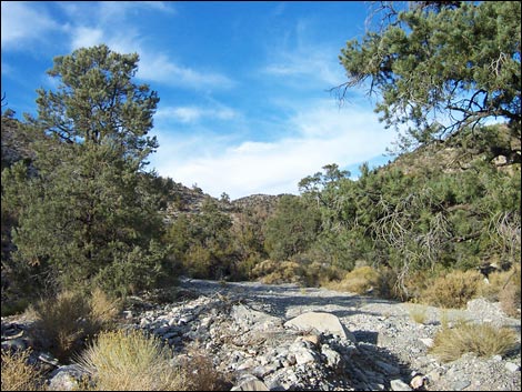 Long Canyon