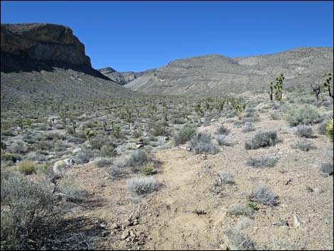 Long Canyon