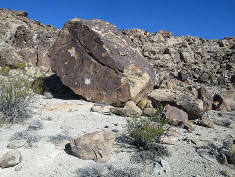 Petroglyphs