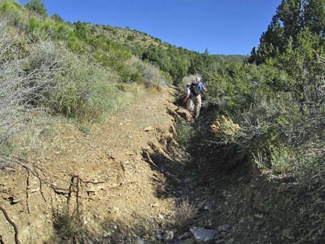 Quartzite Mountain