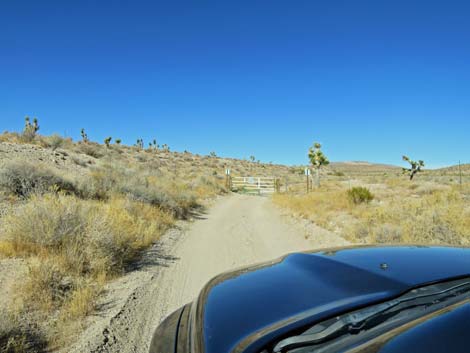 Alamo-Badger Connector Road