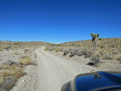 Alamo-Badger Connector Road