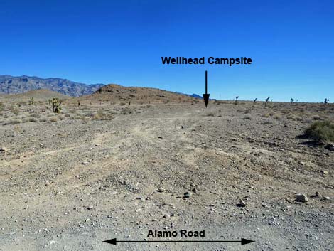 Alamo Road