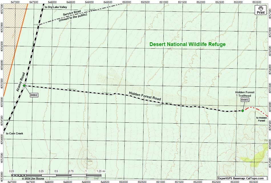 Hidden Forest Road Map