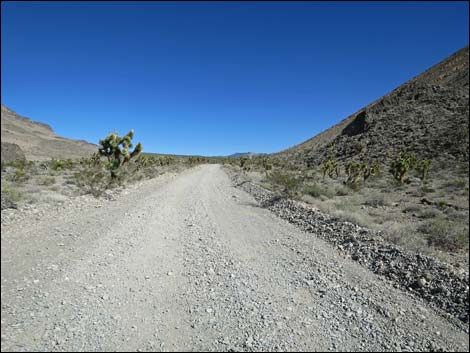 Mormon Well Road