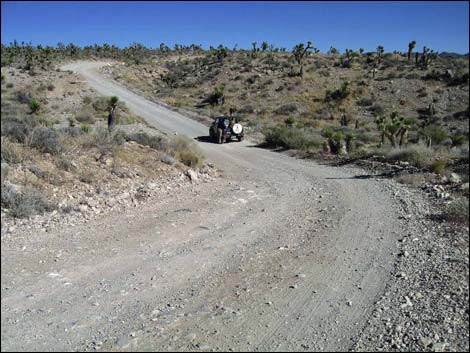 Mormon Well Road