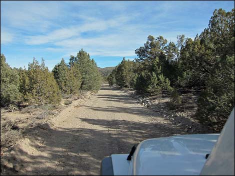 Mormon Well Road