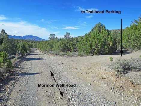 Mormon Well Road