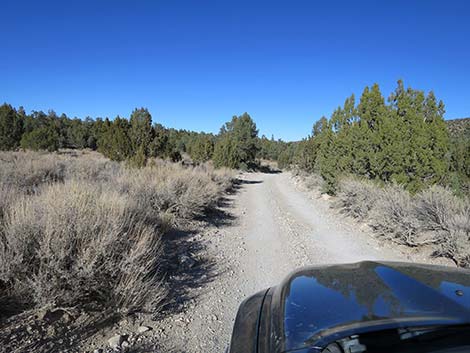 Mormon Well Road