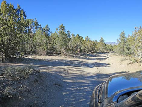 Mormon Well Road