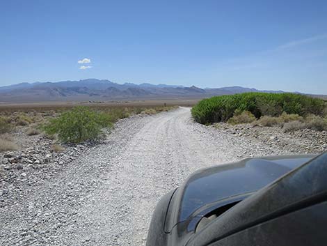 Mormon Well Road