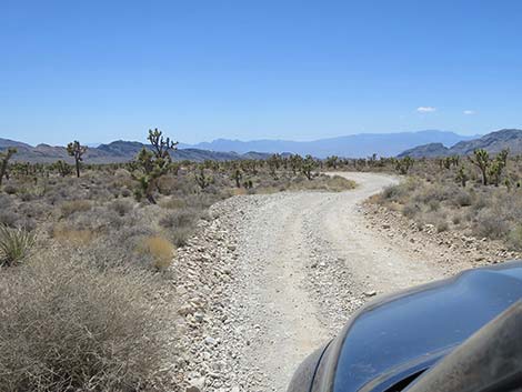 Mormon Well Road