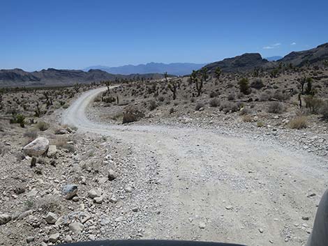 Mormon Well Road