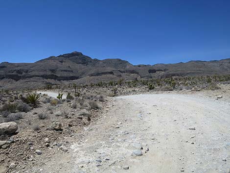 Mormon Well Road