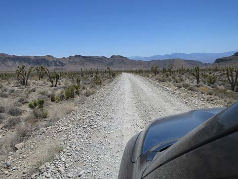 Mormon Well Road