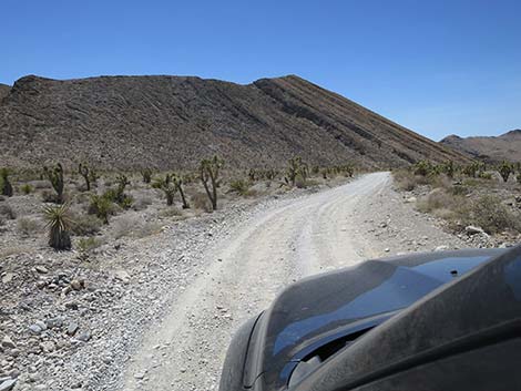 Mormon Well Road